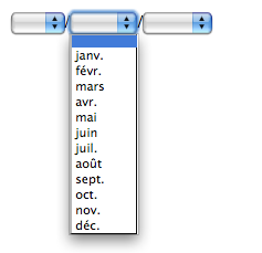 Widget internacionalizado para seleccionar la fecha con los meses abreviados