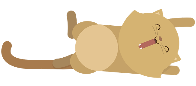 Una imagen de un gato estirándose